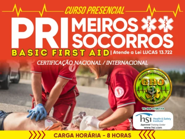 Primeiros Socorros HSI Basic First Aid (Ênfase na Lei Lucas 13.722)